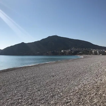 Victoria Albir El Albir
